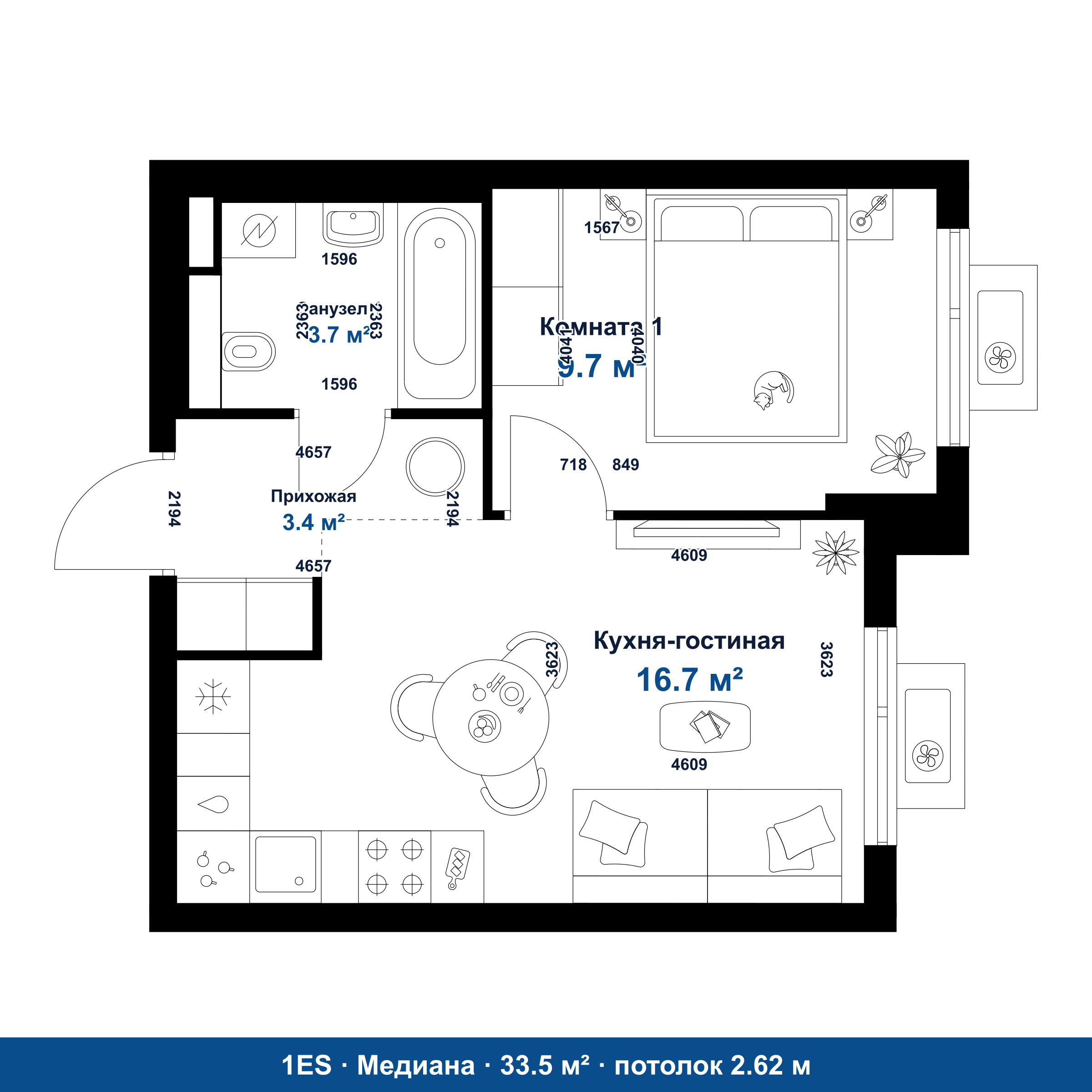 План 1ES 33.5 м²